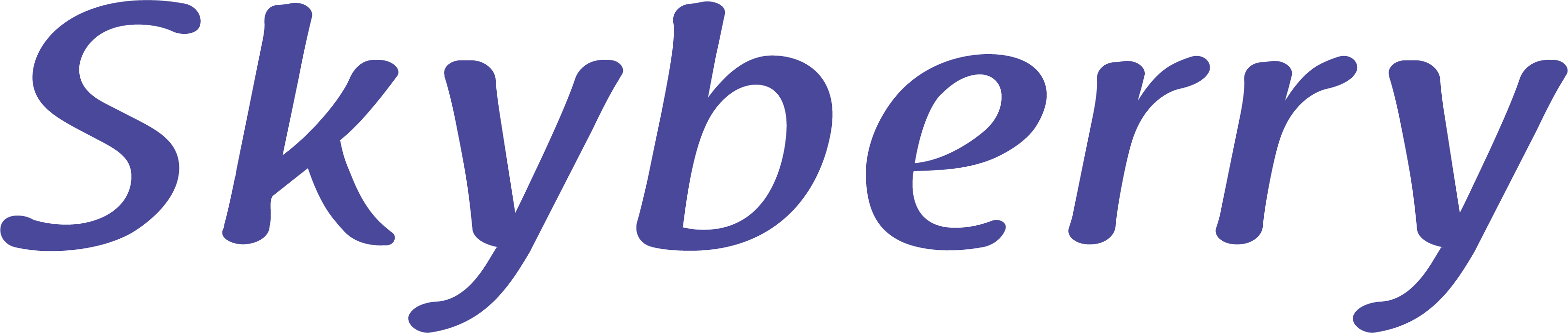 Skyberry Logo